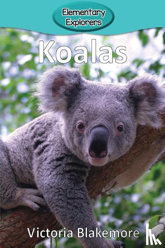 Blakemore, Victoria - Koalas