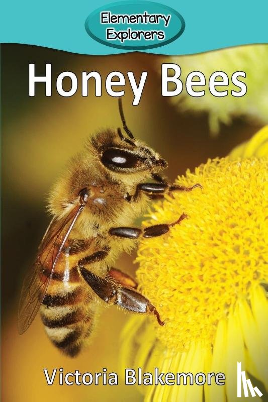 Blakemore, Victoria - Honey Bees