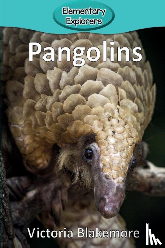 Blakemore, Victoria - Pangolins