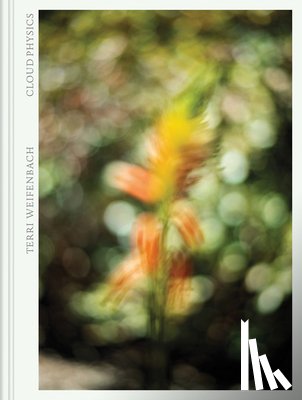 Weifenbach, Terri - Terri Weifenbach: Cloud Physics