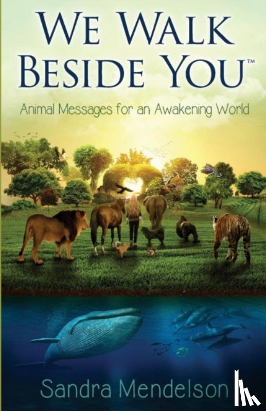 Mendelson, Sandra - We Walk Beside You