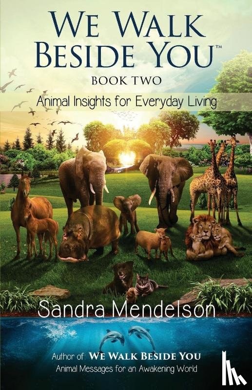 Mendelson, Sandra - We Walk Beside You Book 2