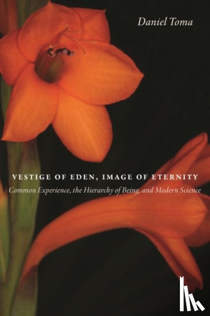 Toma, Daniel - Vestige of Eden, Image of Eternity