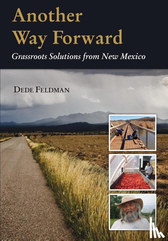 Feldman, Dede - Another Way Forward
