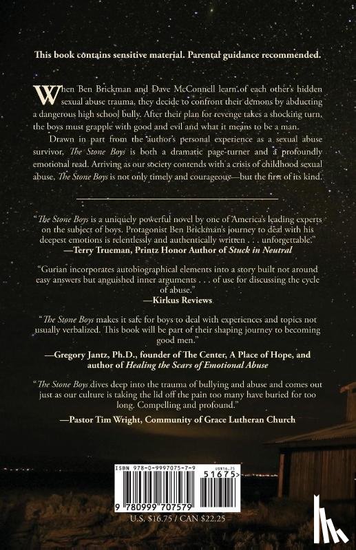 Gurian, Michael - The Stone Boys