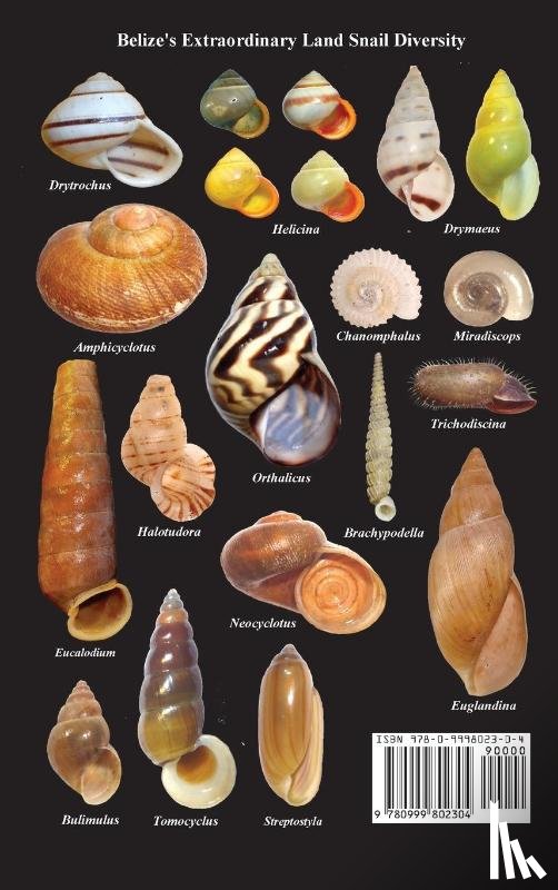 Dourson, Daniel C, Caldwell, Ronald S, Dourson, Judy a - Land Snails of Belize, Central America