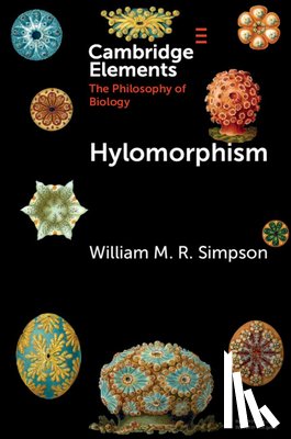 Simpson, William M. R. (University of Texas - Hylomorphism