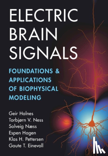 Halnes, Geir (Norwegian University of Life Sciences), Ness, Torbjørn V. (Norwegian University of Life Sciences), Næss, Solveig (Universitetet i Oslo), Hagen, Espen (Universitetet i Oslo) - Electric Brain Signals