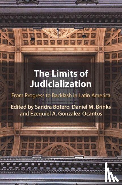  - The Limits of Judicialization
