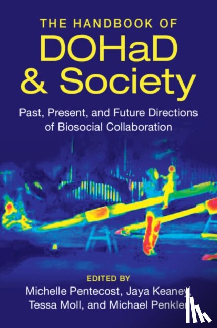  - The Handbook of DOHaD and Society