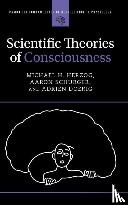 Herzog, Michael H. (EPFL), Schurger, Aaron (Chapman University, Doerig, Adrien (Freie Universitat Berlin) - Scientific Theories of Consciousness