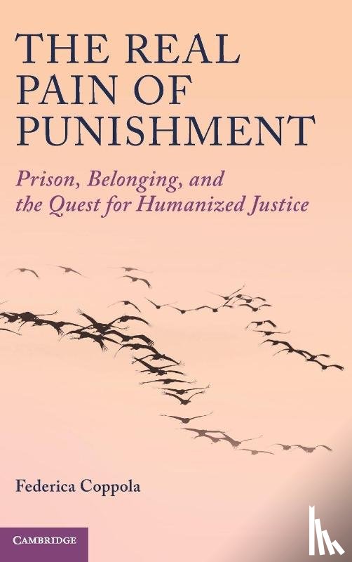 Coppola, Federica (IE University Law School - The Real Pain of Punishment