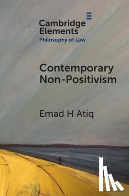 Atiq, Emad H. (Cornell University) - Contemporary Non-Positivism