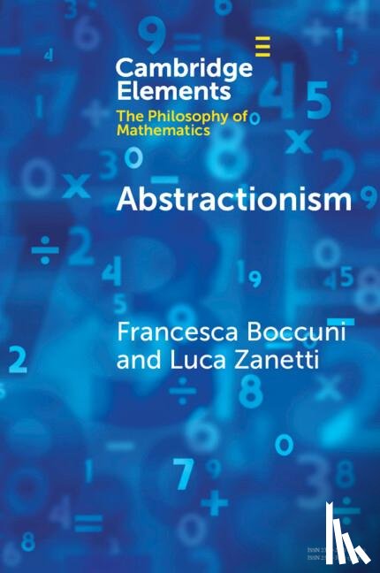 Zanetti, Luca (Scuola Universitaria Superiore IUSS Pavia), Boccuni, Francesca (Vita-Salute San Raffaele University) - Abstractionism