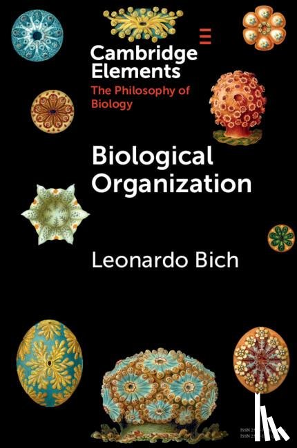 Bich, Leonardo (University of the Basque Country) - Biological Organization