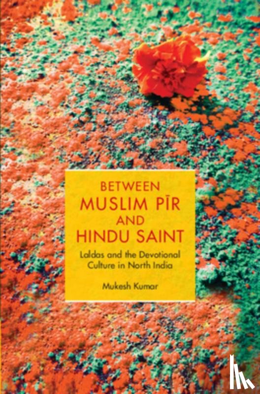 Kumar, Mukesh (Alexander von Humboldt Fellow - Between Muslim Pir and Hindu Saint