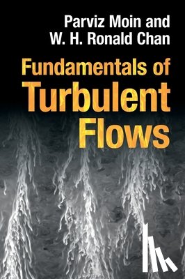 Moin, Parviz (Stanford University, Chan, W. H. Ronald (Stanford University - Fundamentals of Turbulent Flows