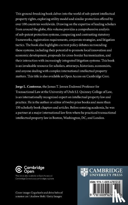  - Sub-patent Innovation Rights