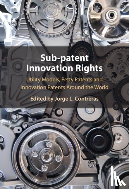  - Sub-patent Innovation Rights