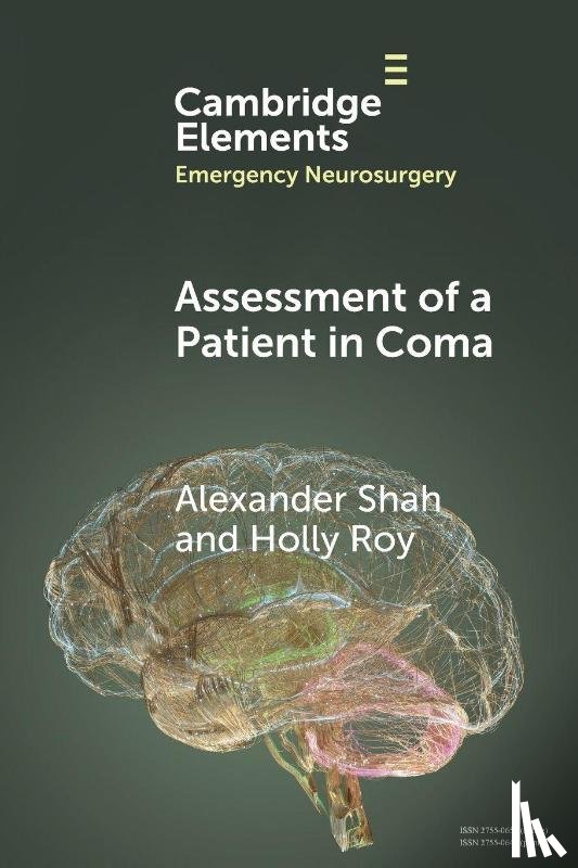 Shah, Alexander (University Hospitals Plymouth NHS Trust), Roy, Holly (University of Plymouth) - Assessment of a Patient in Coma
