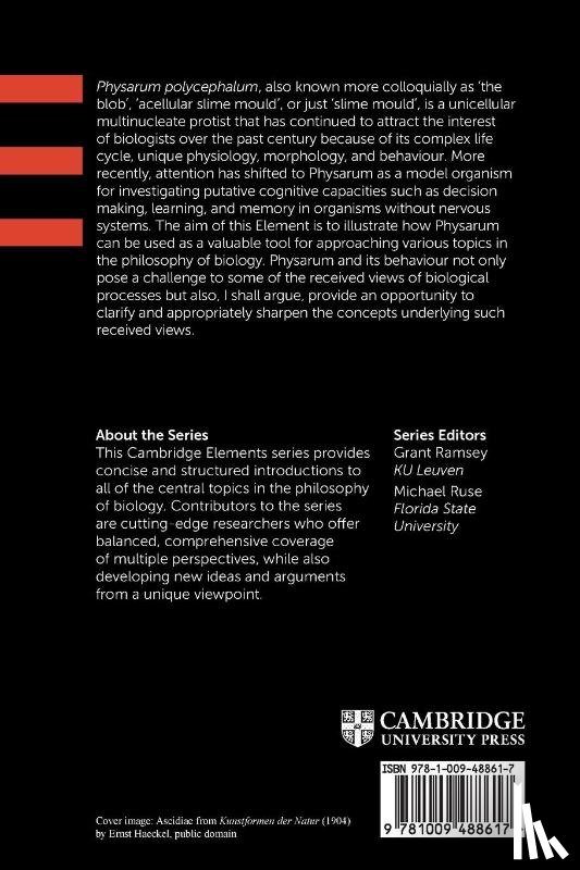 Sims, Matthew (Ruhr-Universitat Bochum) - Slime Mould and Philosophy