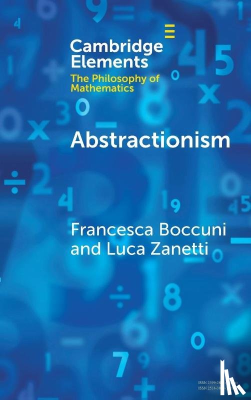 Zanetti, Luca (Scuola Universitaria Superiore IUSS Pavia), Boccuni, Francesca (Vita-Salute San Raffaele University) - Abstractionism