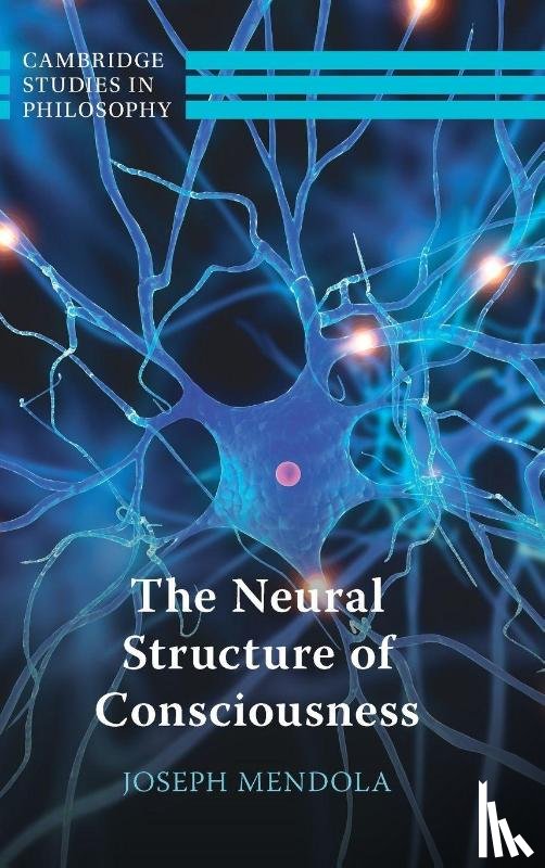 Mendola, Joseph (University of Nebraska - The Neural Structure of Consciousness