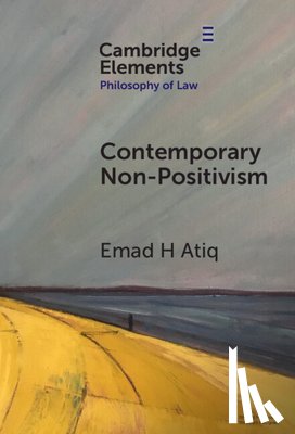 Atiq, Emad H. (Cornell University) - Contemporary Non-Positivism