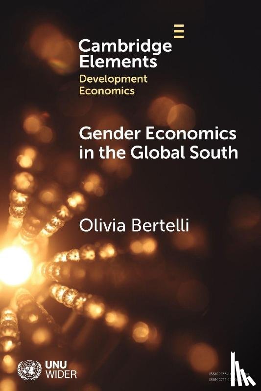 Bertelli, Olivia (University Paris-Dauphine - Gender Economics in the Global South