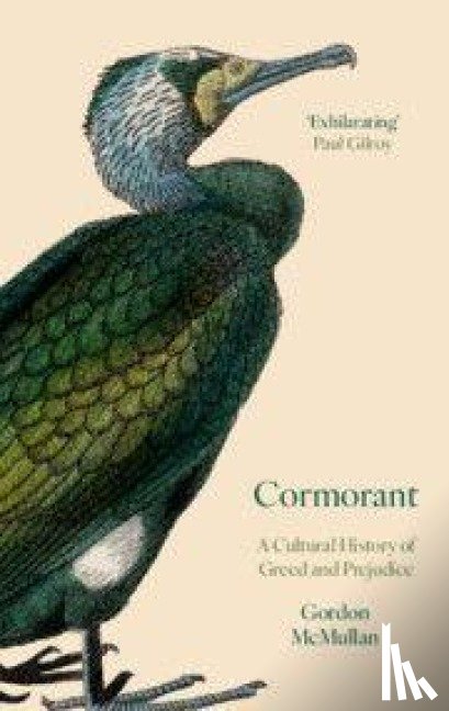 McMullan, Gordon (King's College London) - Cormorant
