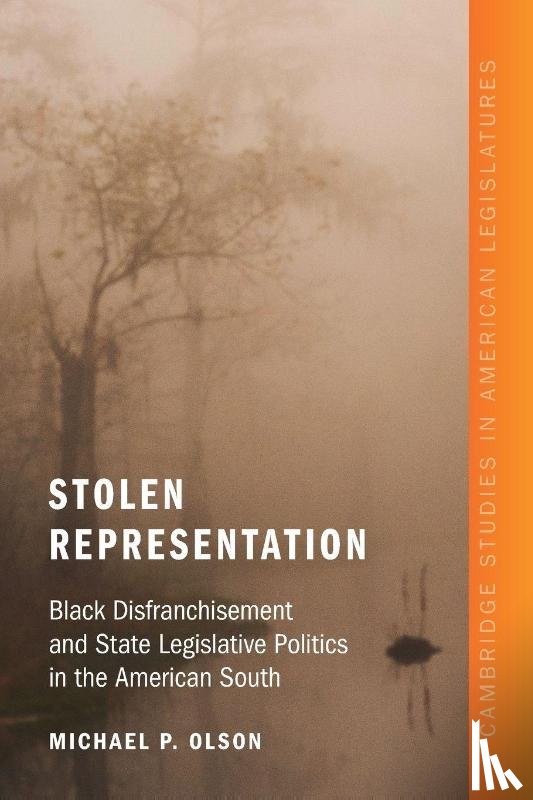 Olson, Michael P. (Washington University in St. Louis) - Stolen Representation