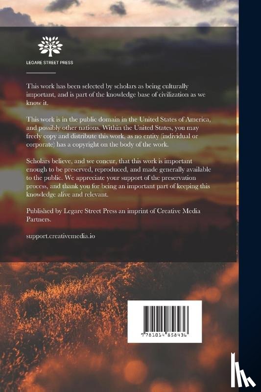 Fleming, Augustin - Three Years in a Mad-house