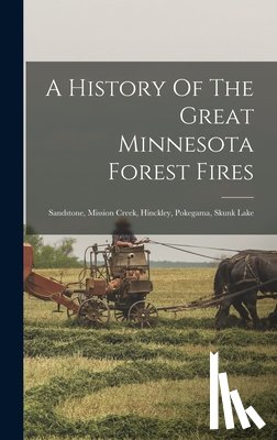 Anonymous - A History Of The Great Minnesota Forest Fires: Sandstone, Mission Creek, Hinckley, Pokegama, Skunk Lake