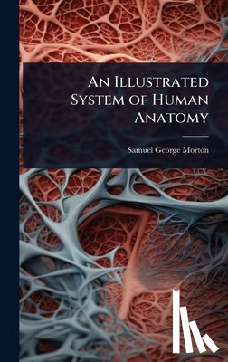 Morton, Samuel George - An Illustrated System of Human Anatomy