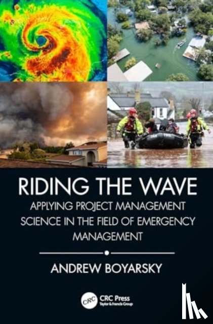 Boyarsky, Andrew - Riding the Wave