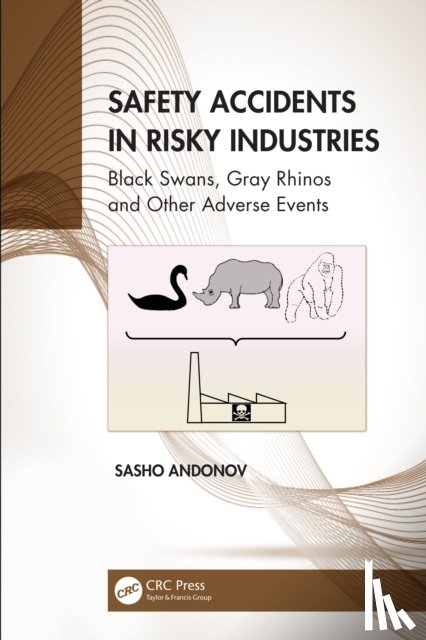 Andonov, Sasho (Aviation Consultant) - Safety Accidents in Risky Industries