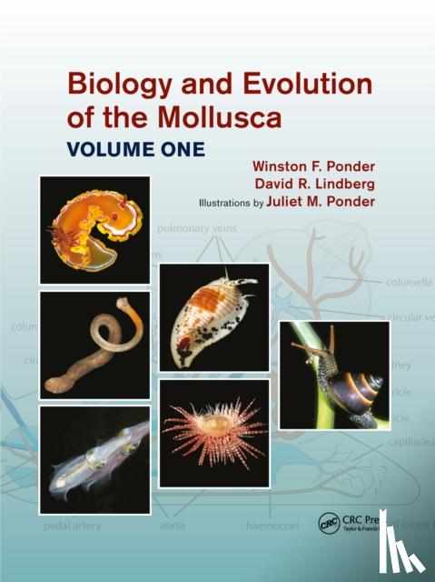 Ponder, Winston Frank, Lindberg, David R. (University of California, USA), Ponder, Juliet Mary - Biology and Evolution of the Mollusca, Volume 1