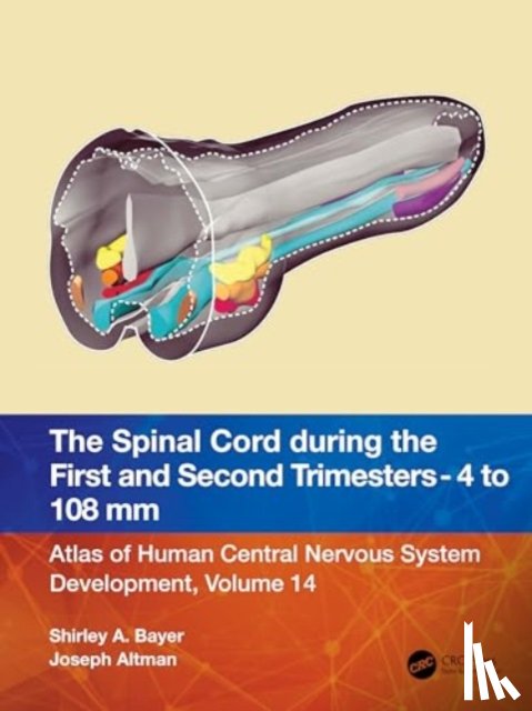 Bayer, Shirley A., Altman, Joseph - The Spinal Cord during the First and Early Second Trimesters 4- to 108-mm Crown-Rump Lengths