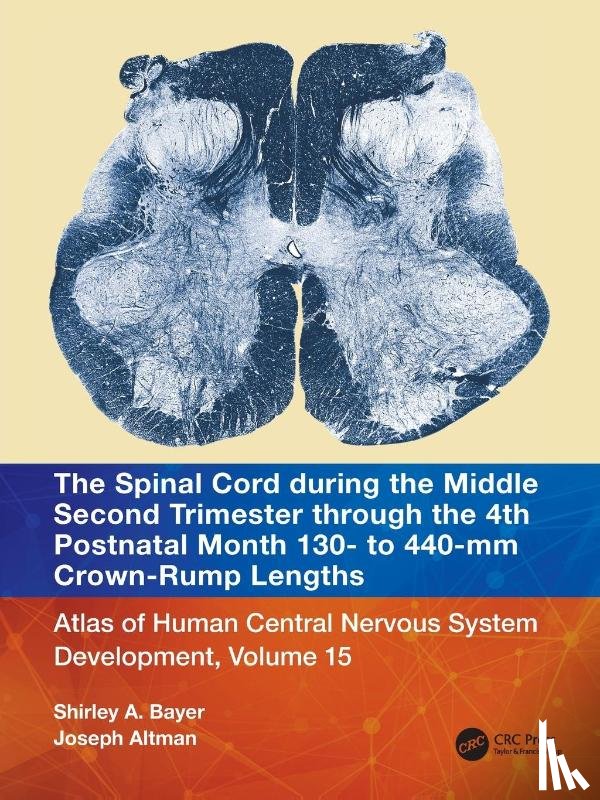 Bayer, Shirley A., Altman, Joseph - The Spinal Cord during the Middle Second Trimester through the 4th Postnatal Month 130- to 440-mm Crown-Rump Lengths