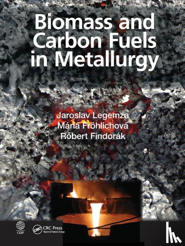 Legemza, Jaroslav (Technical University of Kosice, Frohlichova, Maria (Technical University of Kosice, Findorak, Robert (Technical University of Kosice - Biomass and Carbon Fuels in Metallurgy