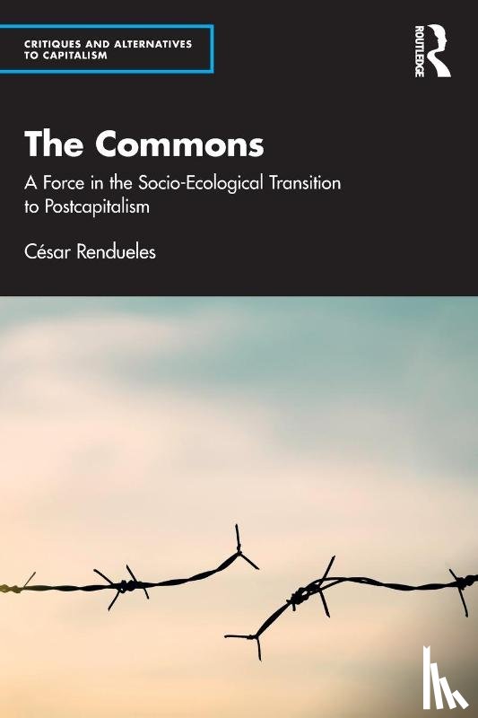 Rendueles, Cesar (Spanish National Research Council) - The Commons
