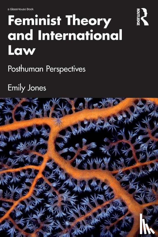 Jones, Emily - Feminist Theory and International Law
