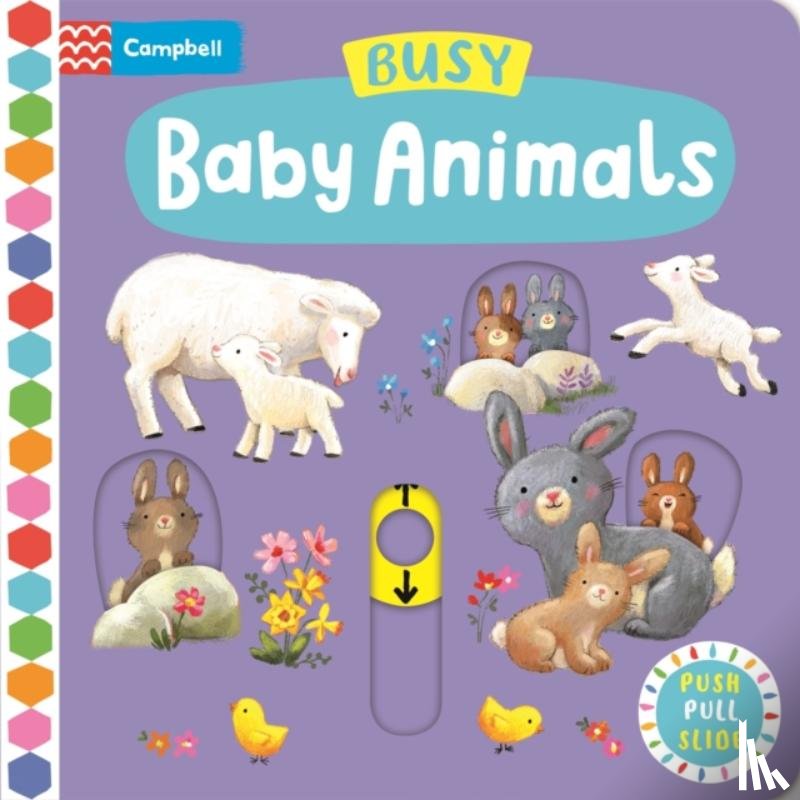 Jatkowska, Ag - Busy Baby Animals