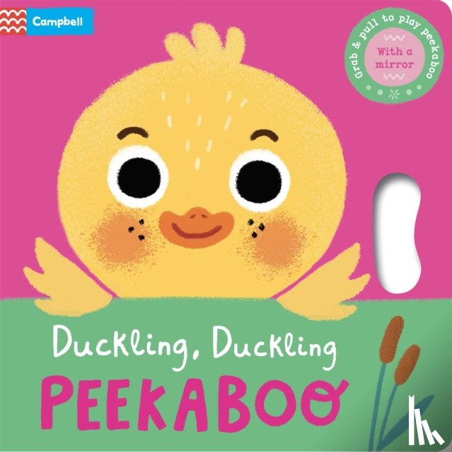Books, Campbell - Duckling, Duckling, PEEKABOO