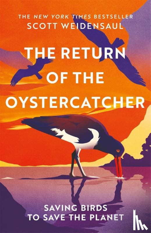 Weidensaul, Scott - The Return of the Oystercatcher