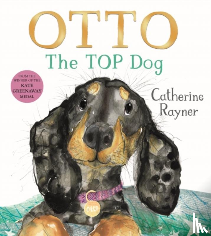 Rayner, Catherine - Otto The Top Dog