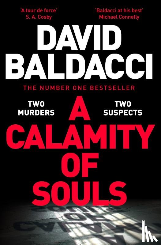 Baldacci, David - A Calamity of Souls