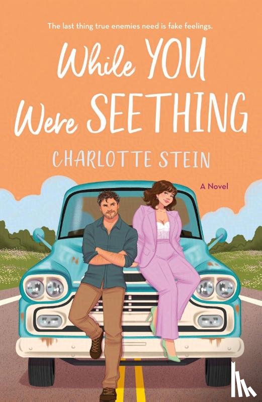 Stein, Charlotte - While You Were Seething