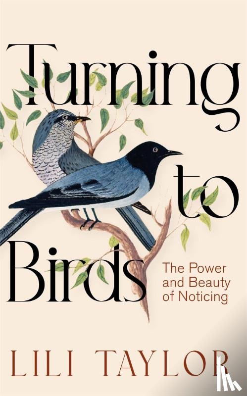 Taylor, Lili - Turning to Birds