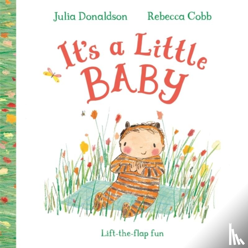 Donaldson, Julia - It's a Little Baby